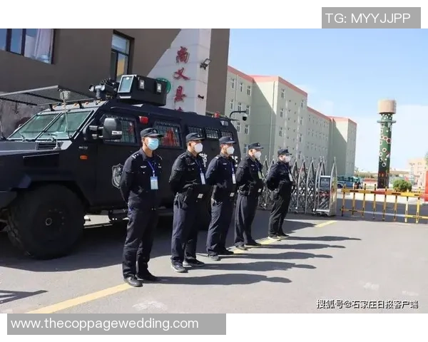 太阳赛场突发小插曲 裁判如何应对及时处理确保比赛秩序 太阳赛场突发小插曲 裁判如何应对及时处理确保比赛秩序